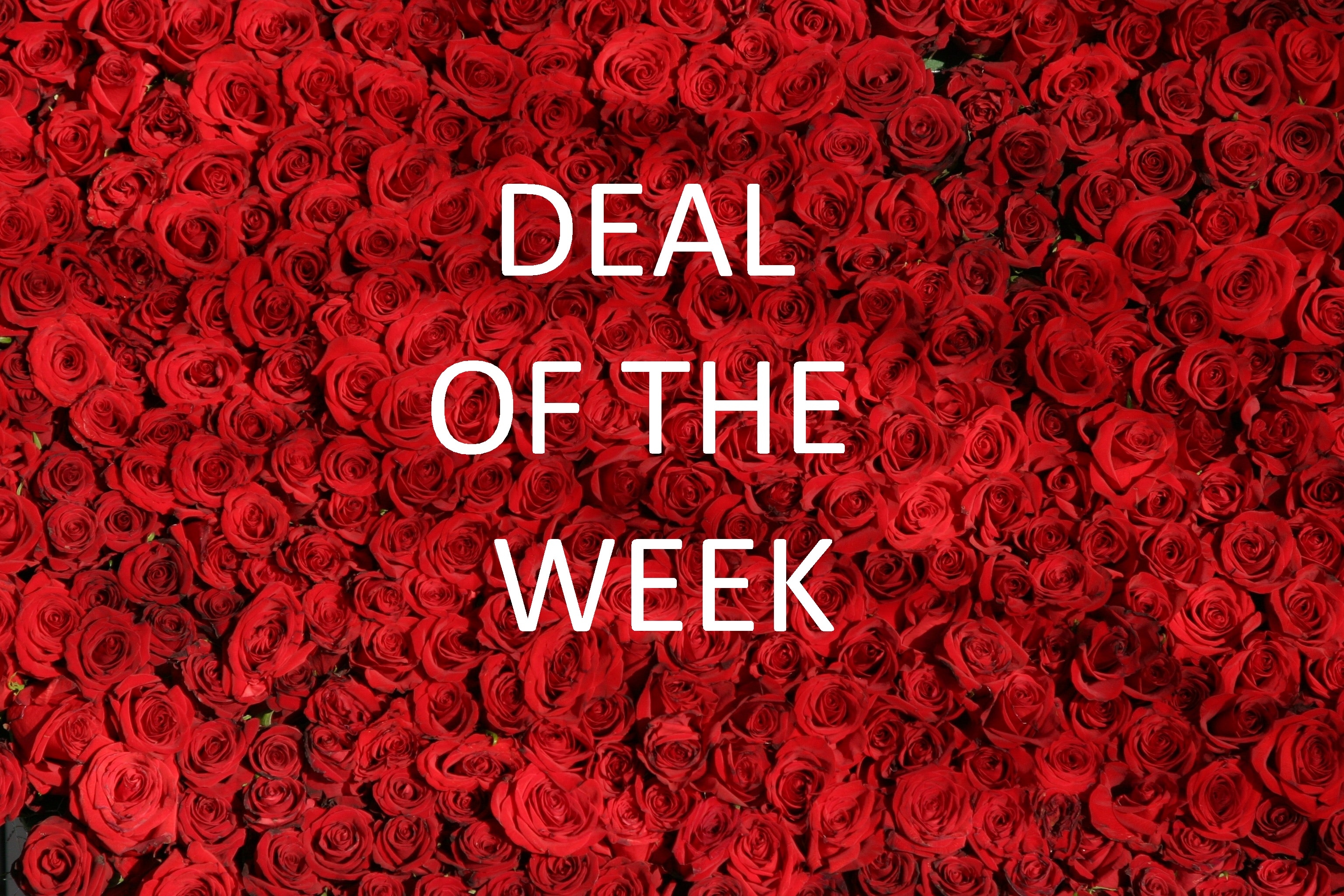 Deal of the Week